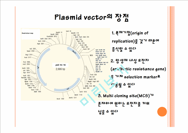 ligation & transformation   (3 )